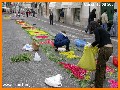 INGRANDISCI