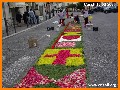INGRANDISCI