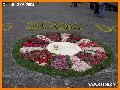 INGRANDISCI
