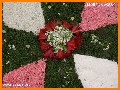 INGRANDISCI