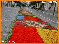 INGRANDISCI