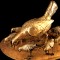 La chioccia con i pulcini d'oro